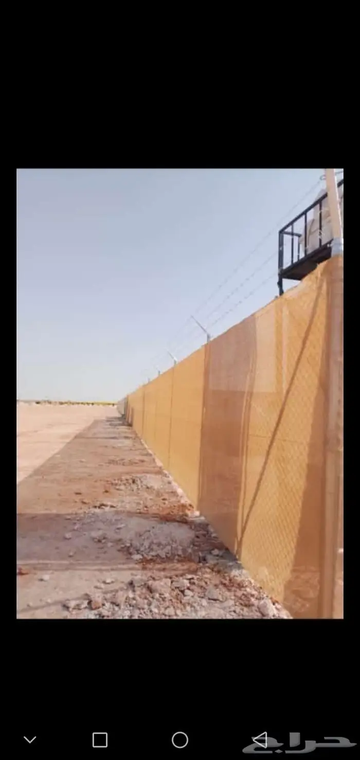 يوجد لدينا جميع انواع النخيل العربي والوشنطني 4