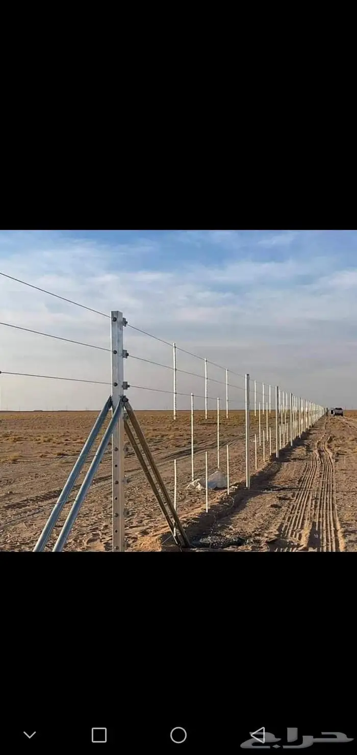 يوجد لدينا جميع انواع النخيل العربي والوشنطني 3