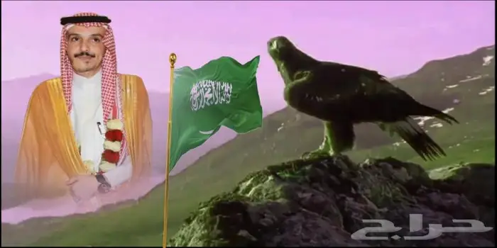 مصمم شيلات احترافي و مصمم فيديوهات 0