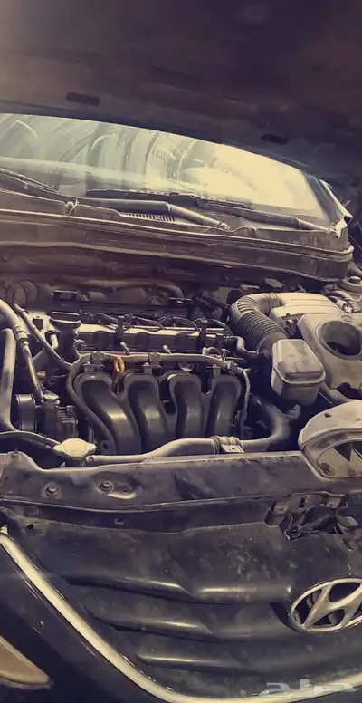 مكاين يوجد تابي وتمارا 10