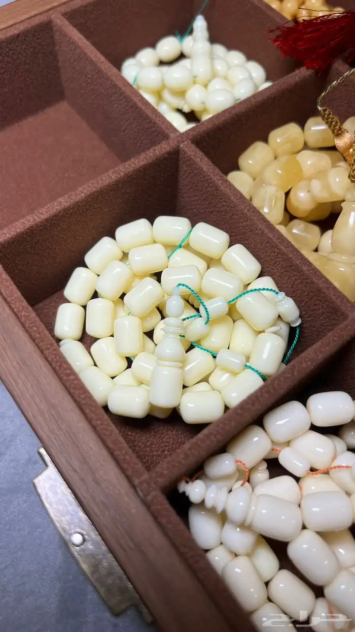 مسباح دومنة 4