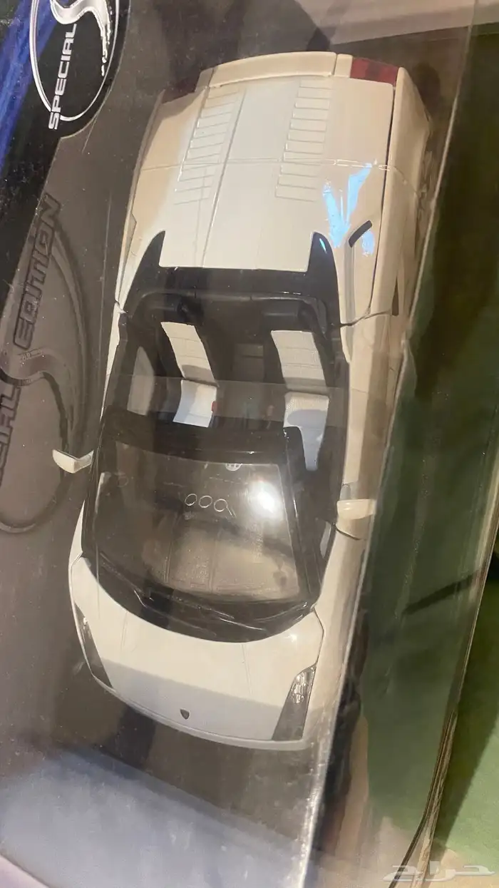 سباحة 4