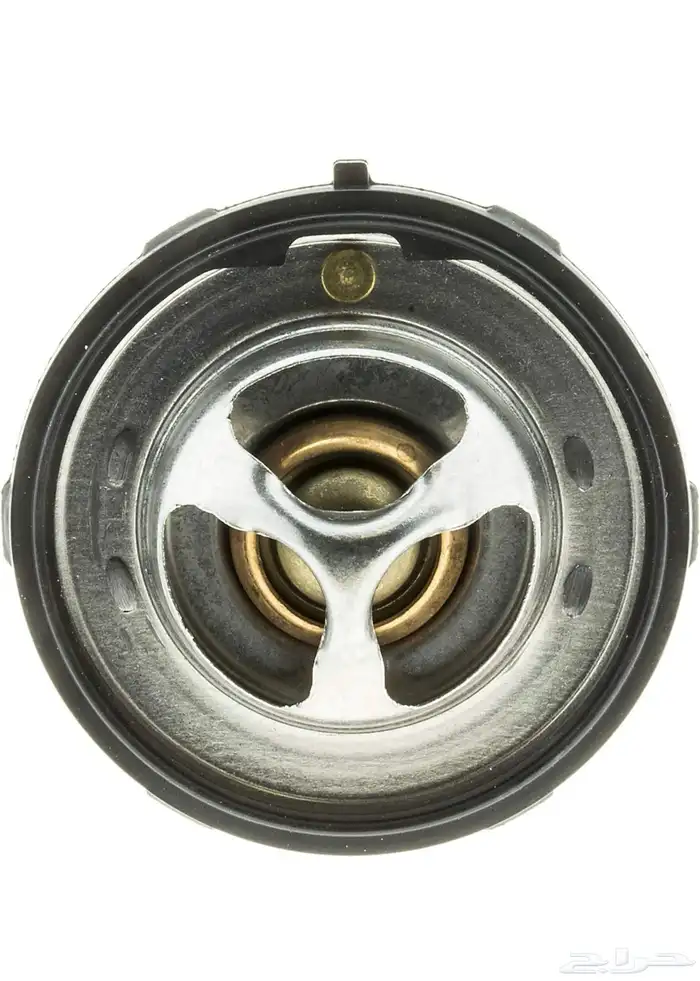 ترمستات (بلف) حراره 71 رياضي مناسب للجمس 1