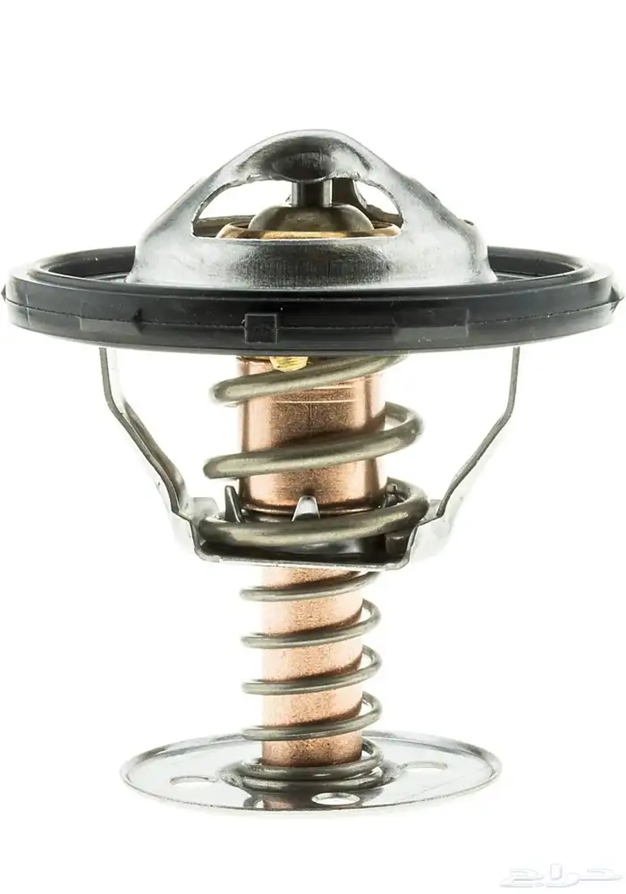 ترمستات (بلف) حراره 71 رياضي مناسب للجمس 2