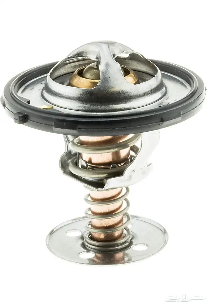 ترمستات (بلف) حراره 71 رياضي مناسب للجمس 3