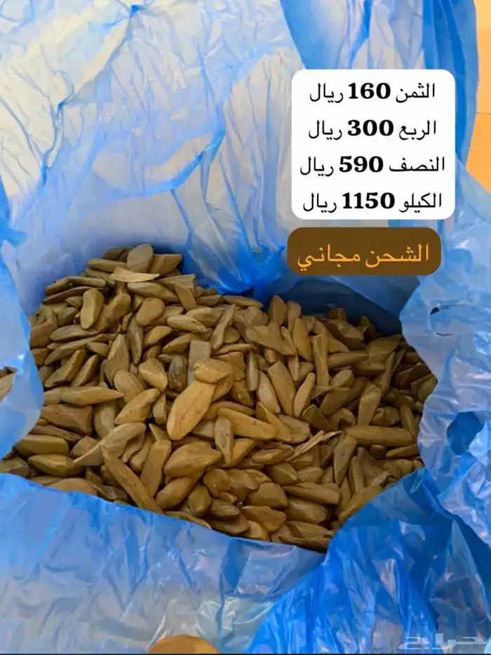 عود موروكي 0