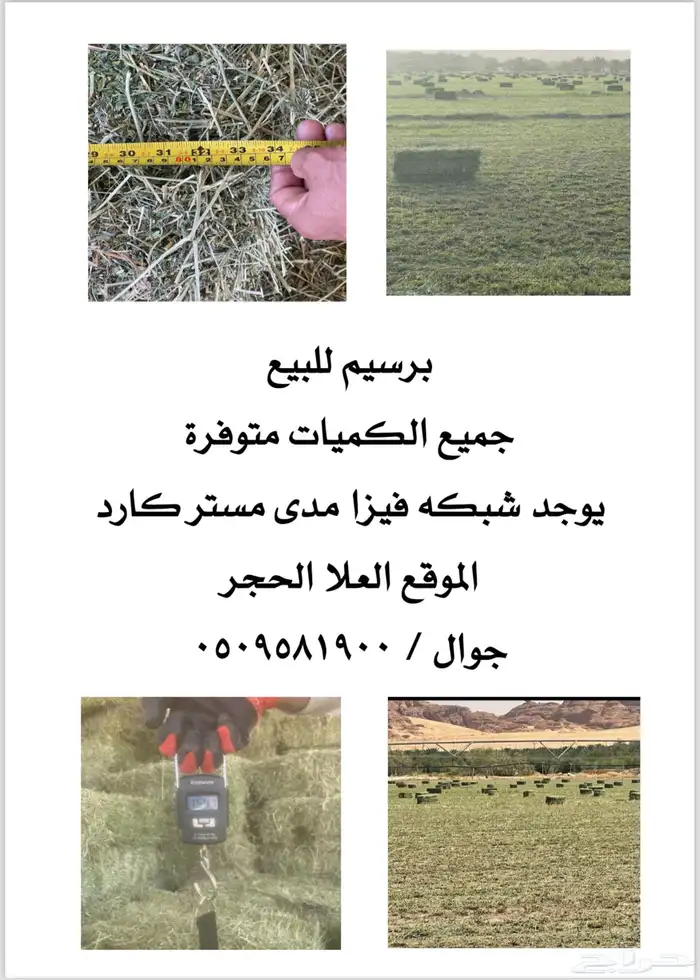 برسيم مخلوط للبيع يوجد مديvisa 4