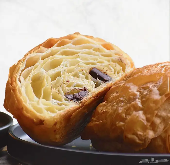 تمويل( مطاعم فنادق ) 6