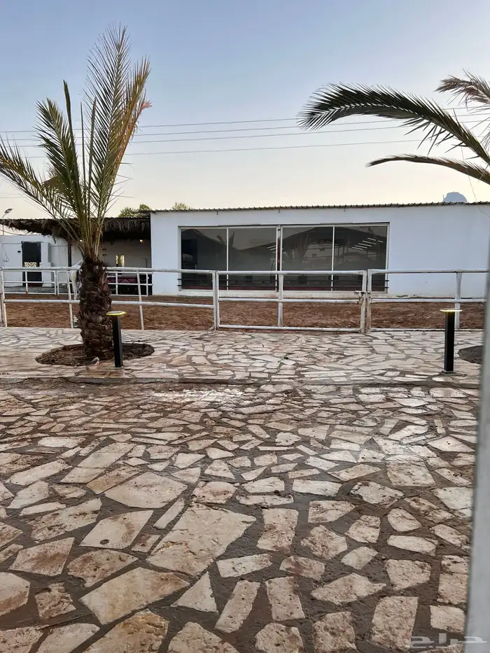 تأجير مربط وايواء خيل بأسعار طيبه بإشراف دكتور بيطري سعودي 2