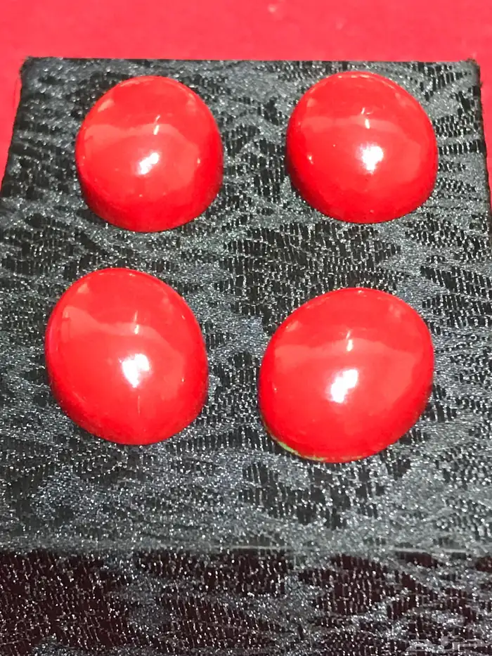 فصوص مرجان اندنوسي 0