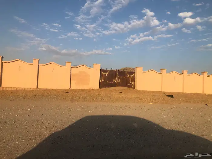 حوش للايجار مساحات مختلفه 0