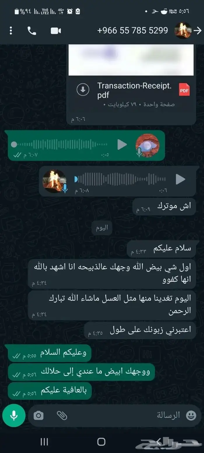 خرفان حري فل على شعير وبرسيم وذره 6