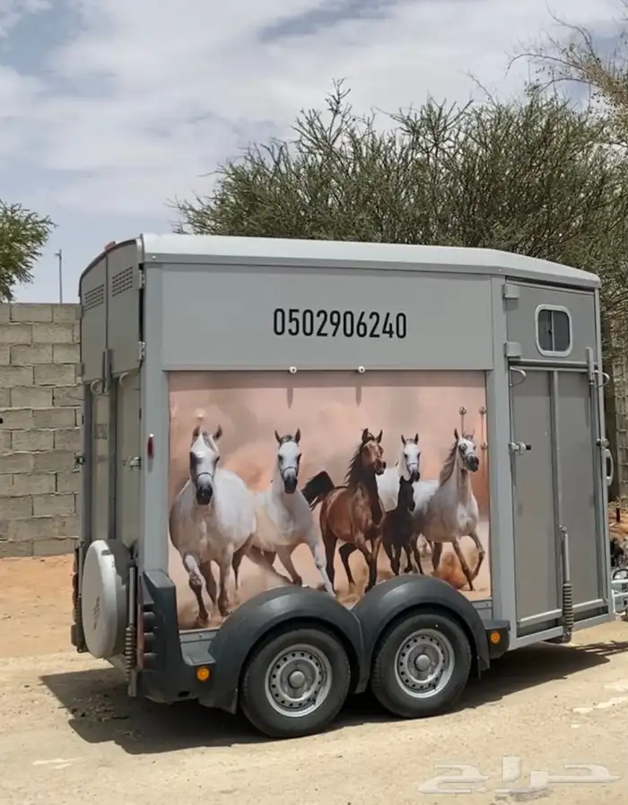 عربة نقل خيل نجران 0