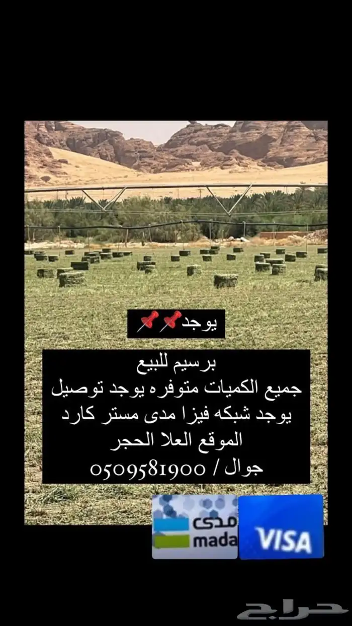 برسيم مخلوط للبيع يوجد مديvisa 0