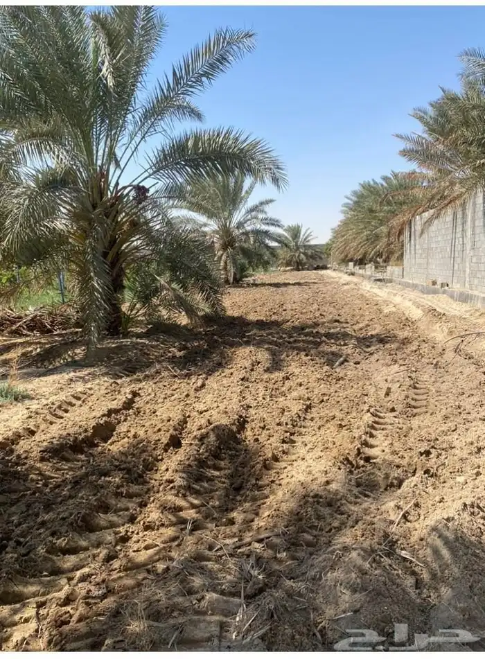 مزرعة للإيجار 0