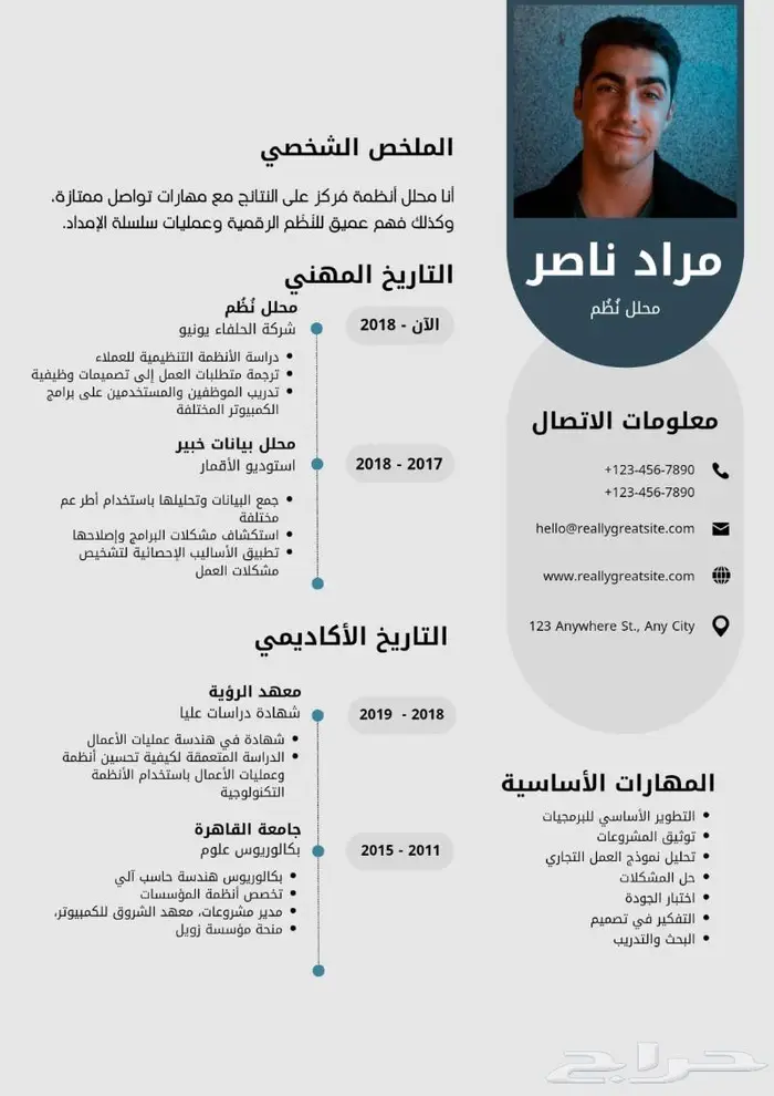 تصميم سيرة ذاتية احترافية ومميزة بأسعار تنافسية 2