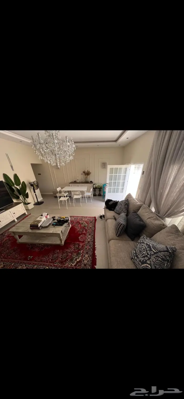 اعمال صبغ الأحساء جميع المناطق 5