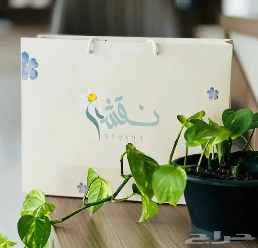 بوكسات عبايات اكياس عبايات ملونة أكواب شرايط بيكا امريكي 0