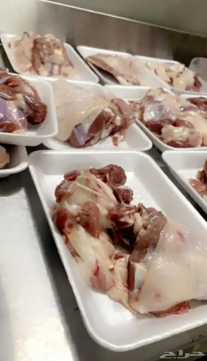 ذبايح حرية 6