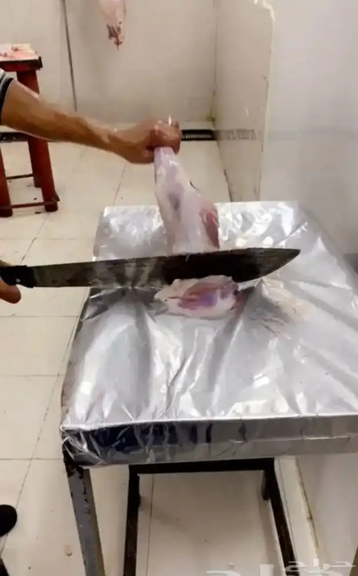 ذبايح حرية 1