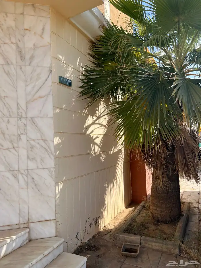 واشنطنيات للبيع 1