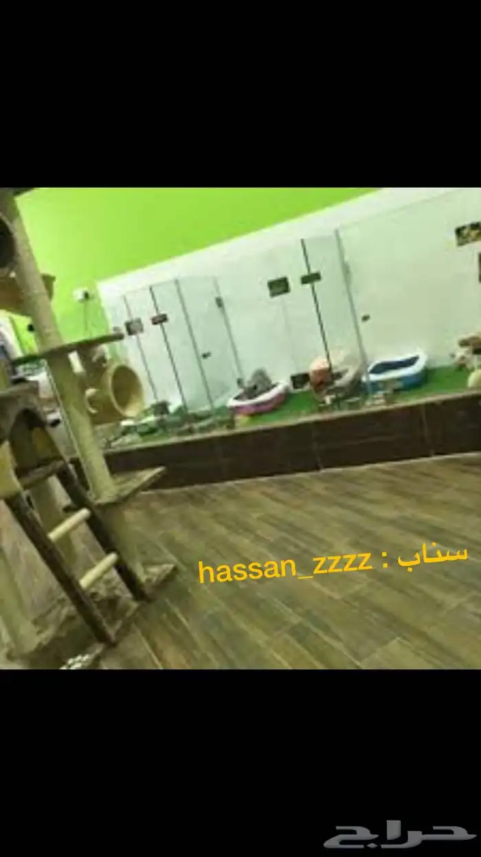 تبني جميع انواع الكائنات الحيه 6