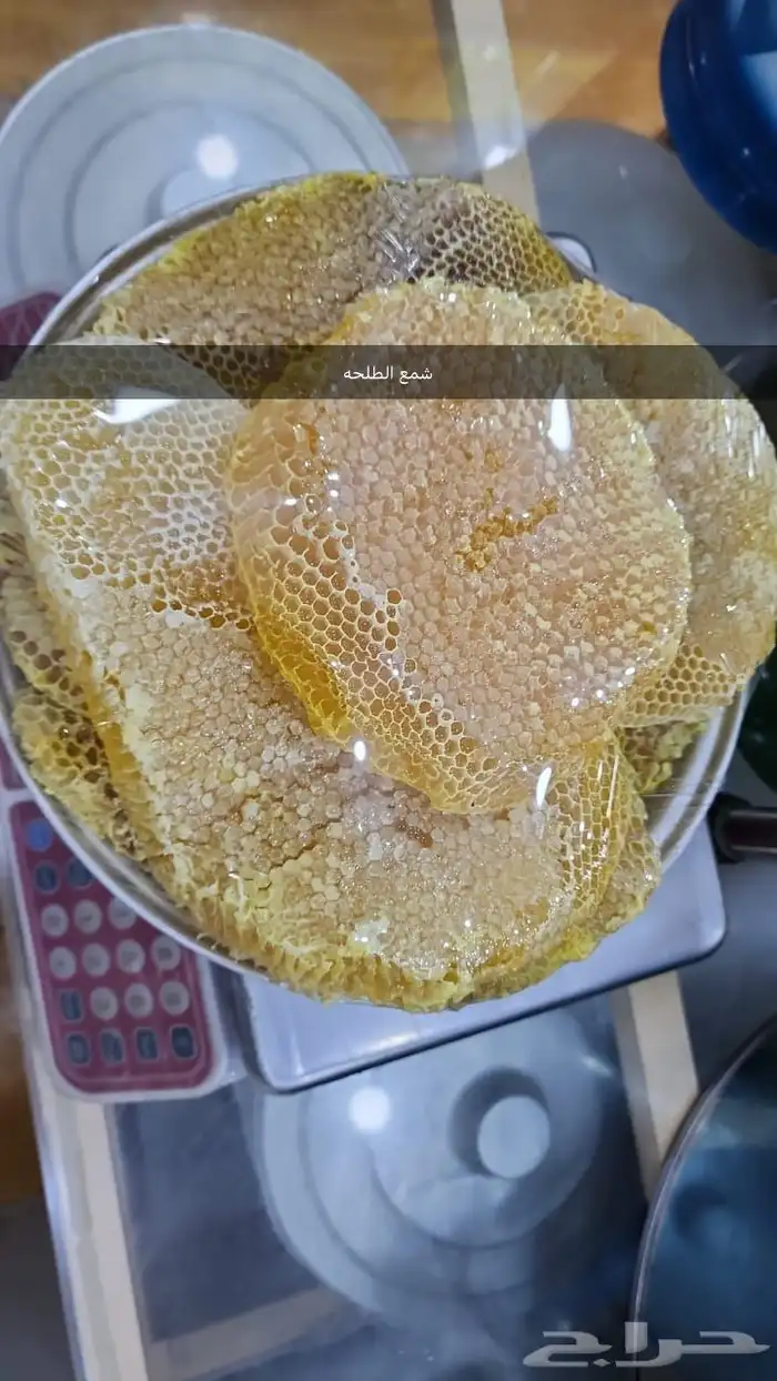 عسل سدر بلدي اصلي مضمون وع الشرط انتاج جديد 1447 ويوجد شمع 46