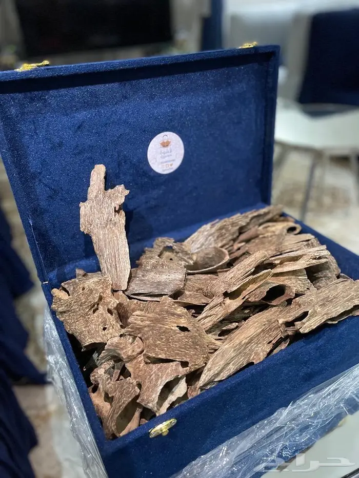 عود لاوسي قديم نادر عود غابات معمرة 1