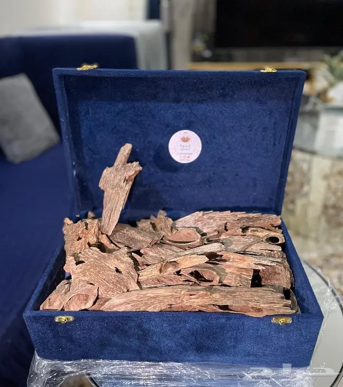 عود لاوسي قديم نادر عود غابات معمرة 0