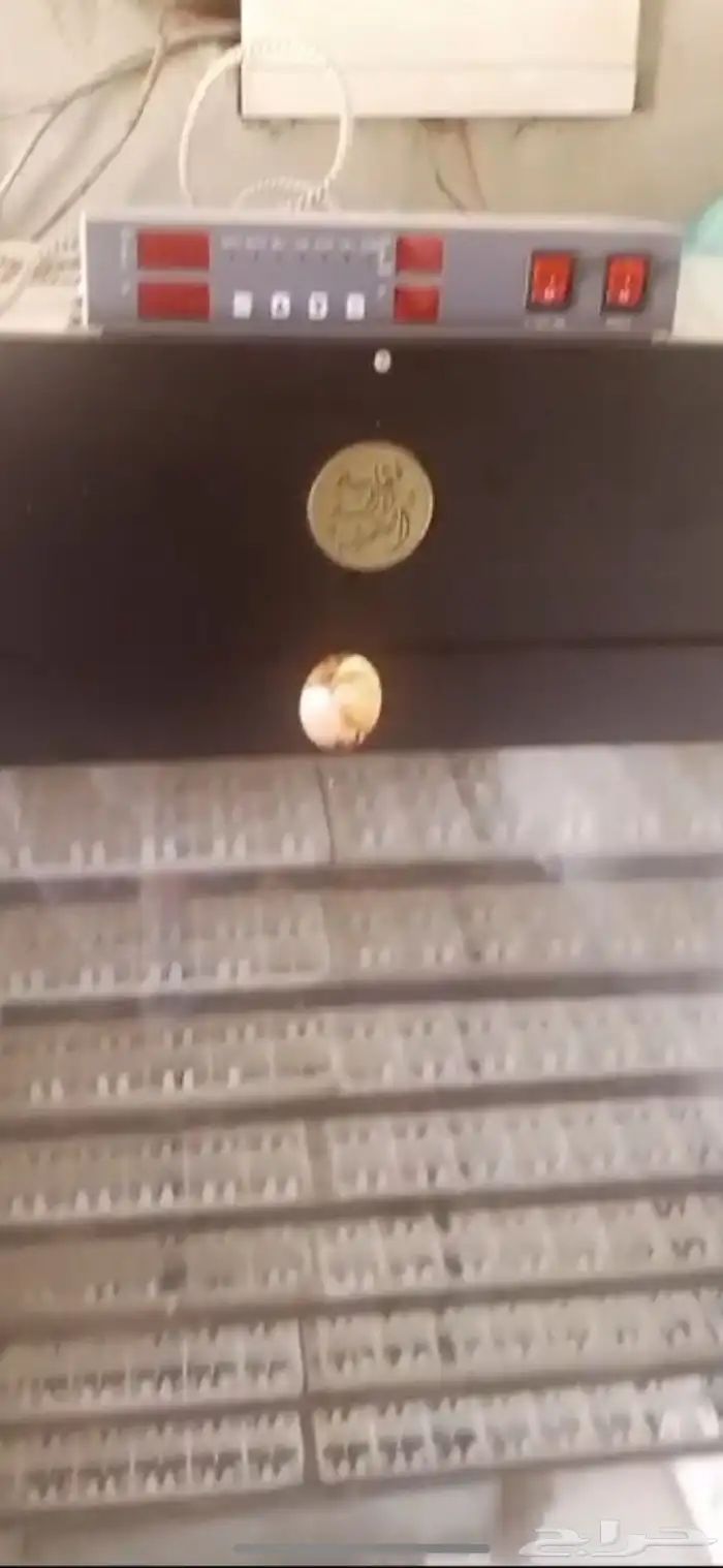 فقاسة دانة التميز فل تماتيك 4