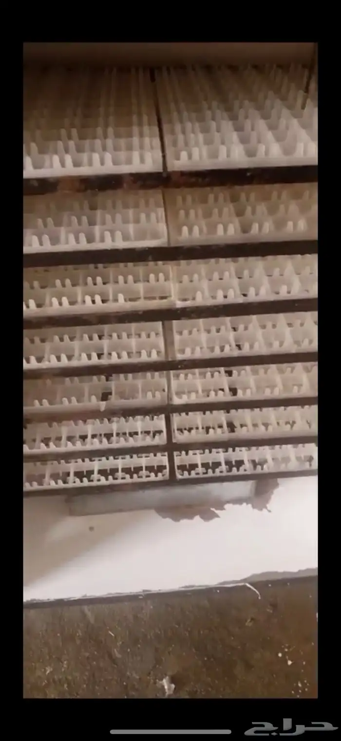 فقاسة دانة التميز فل تماتيك 0
