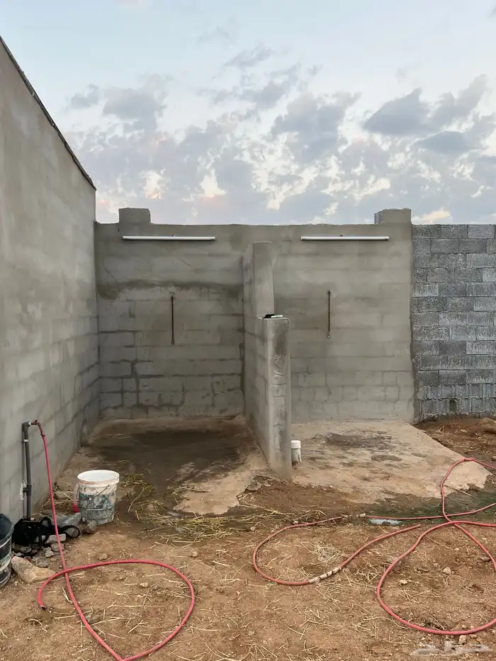 اسطبل الخيل العربيه الاصيله 0