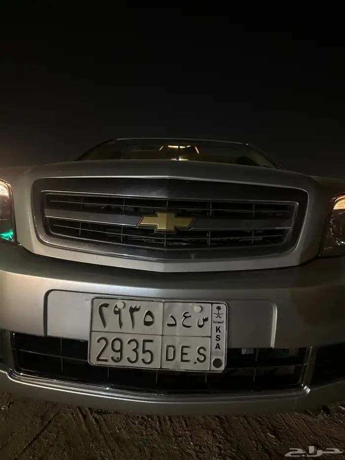 لوحة سعد للبيع 1