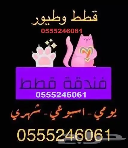 فندقة حيوانات منزلية 61 60 24 0555 في سفرك - شاهد التقييمات 2