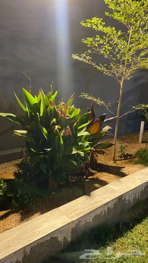 منتجع للايجار   رياض الخبراء 43