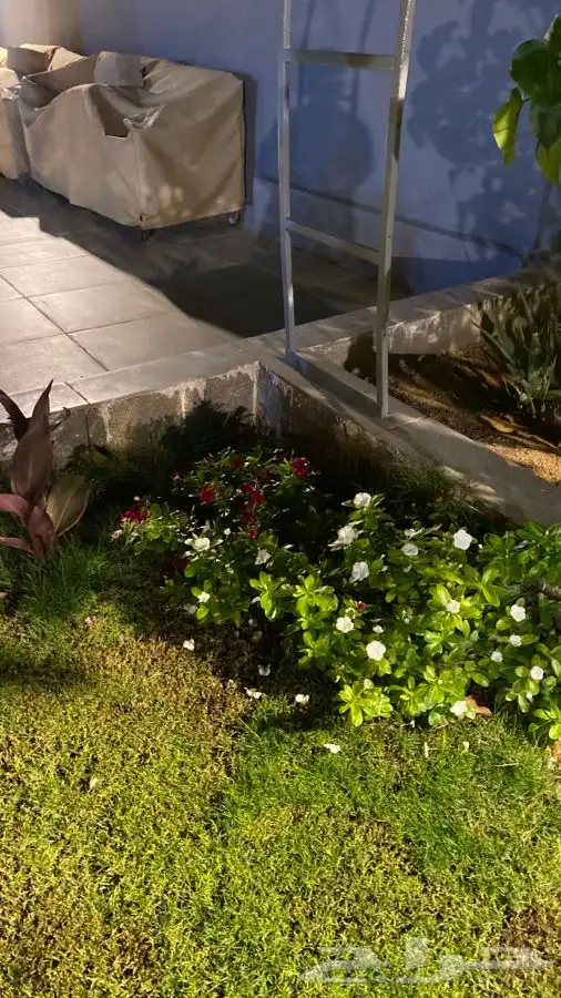 منتجع للايجار   رياض الخبراء 45