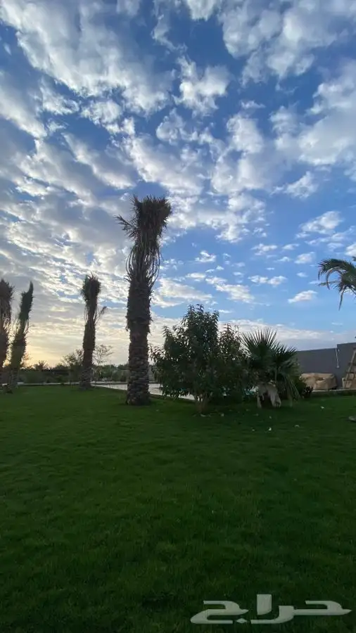 منتجع للايجار   رياض الخبراء 12