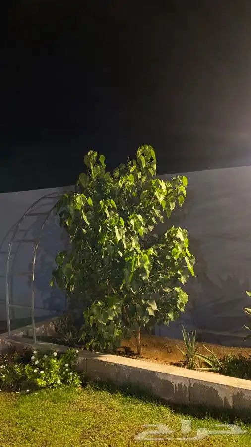 منتجع للايجار   رياض الخبراء 44