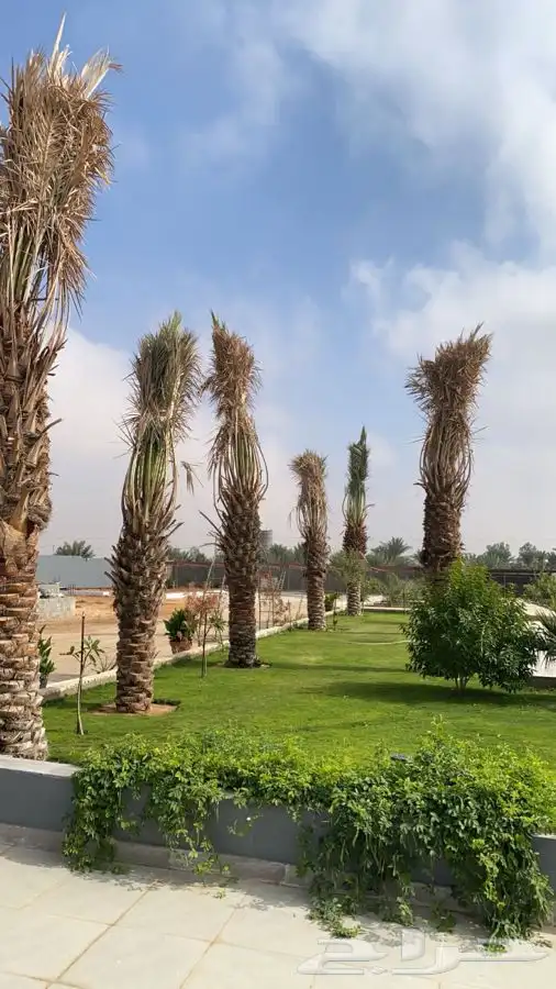 منتجع للايجار   رياض الخبراء 2