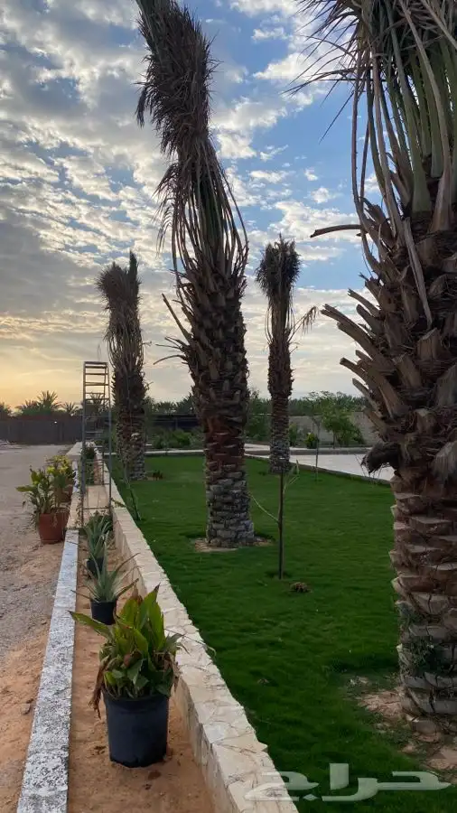 منتجع للايجار   رياض الخبراء 8