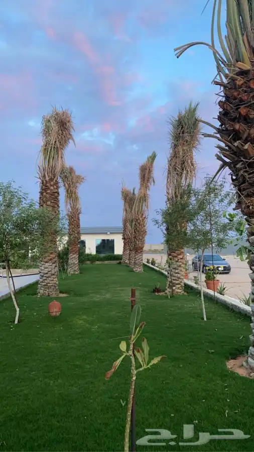 منتجع للايجار   رياض الخبراء 17