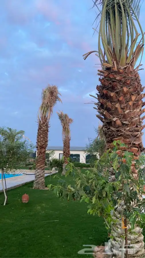 منتجع للايجار   رياض الخبراء 19