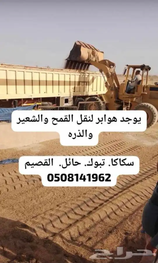 هوابر نقل قمح سكاكا وحائل والقصيم وتبوك 1