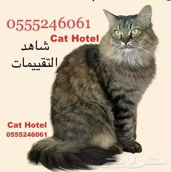 فندقة حيوانات منزلية 61 60 24 0555 في سفرك - شاهد التقييمات 3