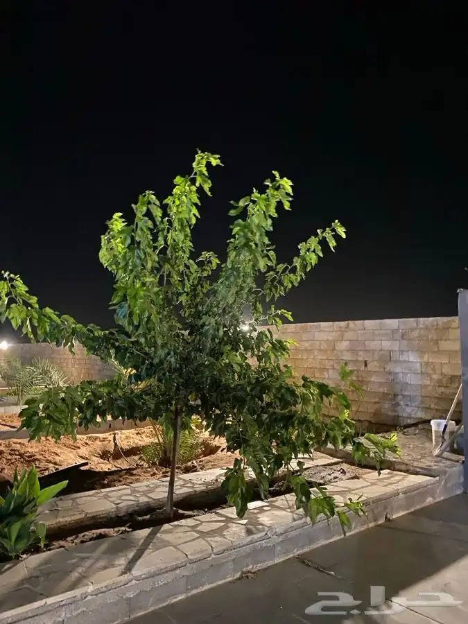 منتجع للايجار   رياض الخبراء 42