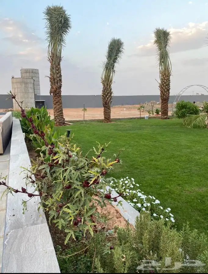 منتجع للايجار   رياض الخبراء 3