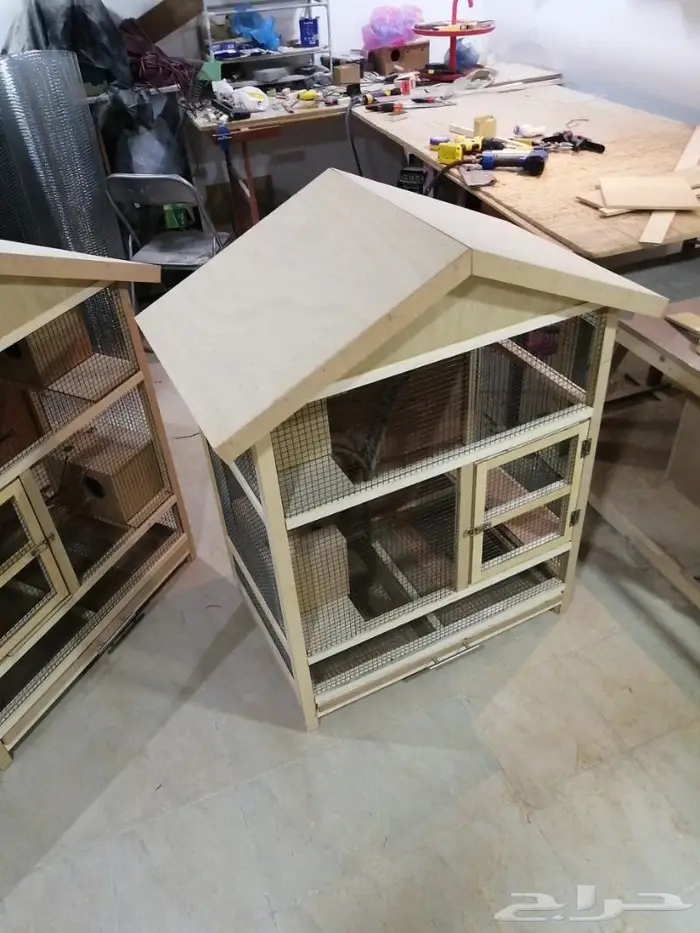 قفص عصافير 2