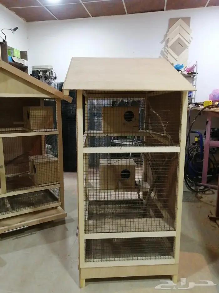 قفص عصافير 7