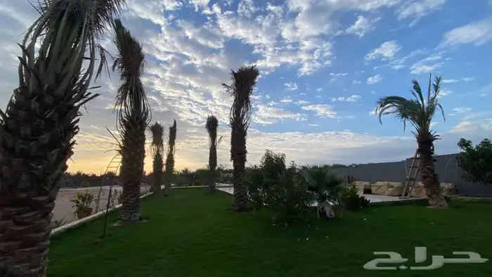 منتجع للايجار   رياض الخبراء 7