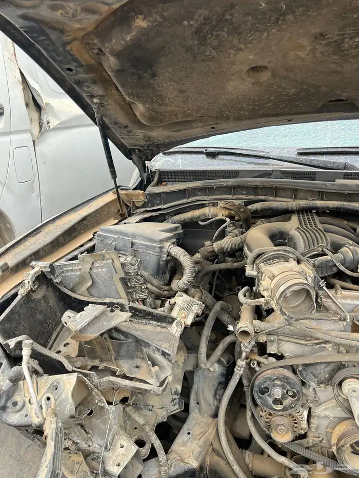 باترول بلاتينيوم 9